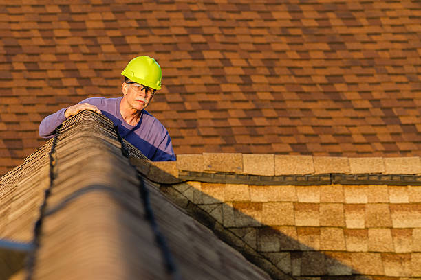 Best Metal Roofing Contractor  in Arcola, IL