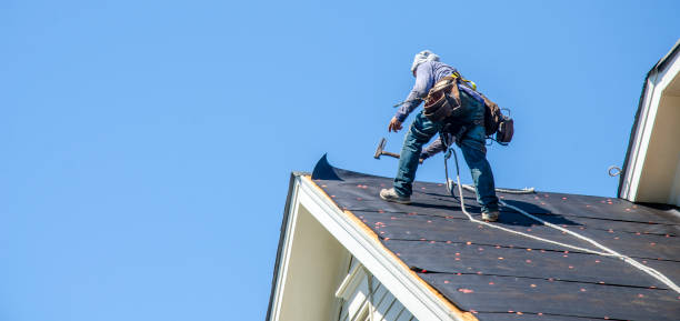 Best Storm Damage Roof Repair  in Arcola, IL